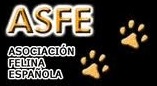ASFE logo
